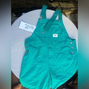 Cute Teal Overalls